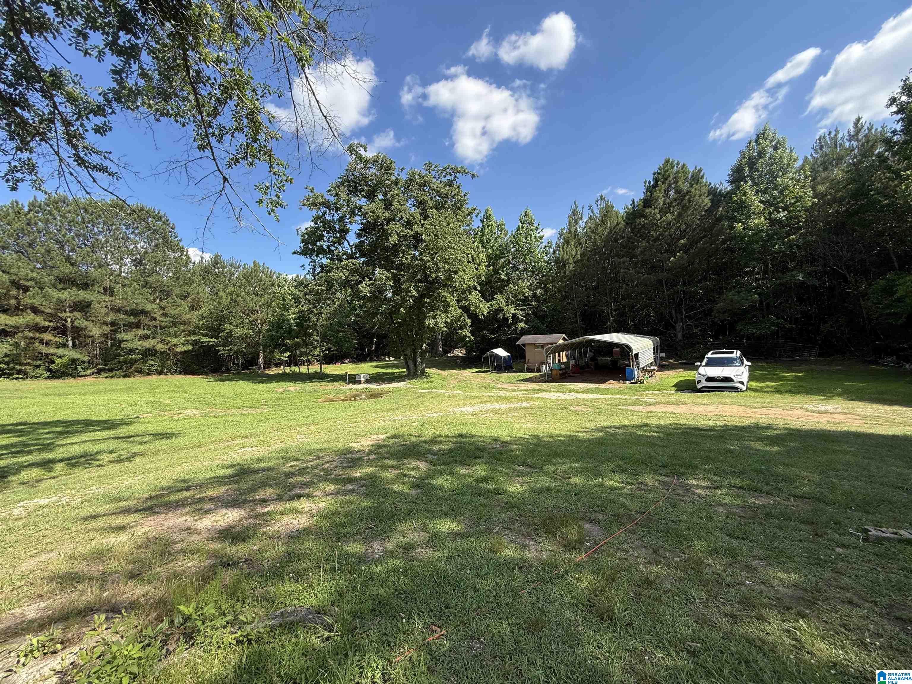 686 Tanyard Hill Road Sylacauga, AL 35151 - Photo 24 of 34