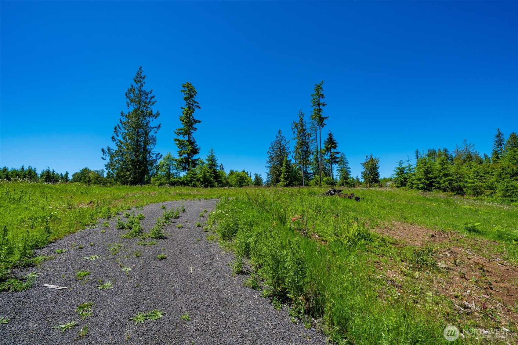 0 South Silver Lake Road Castle Rock, WA 98611 - Photo 10 of 20