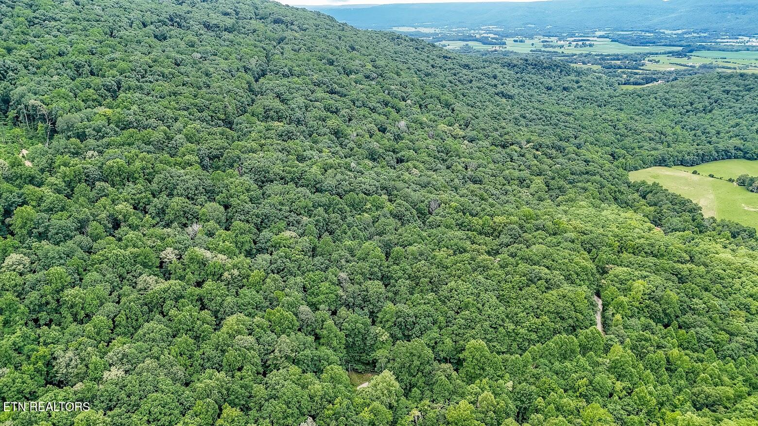 701 Cherokee Ridge Road Pikeville, TN 37367 - Photo 53 of 60 60701