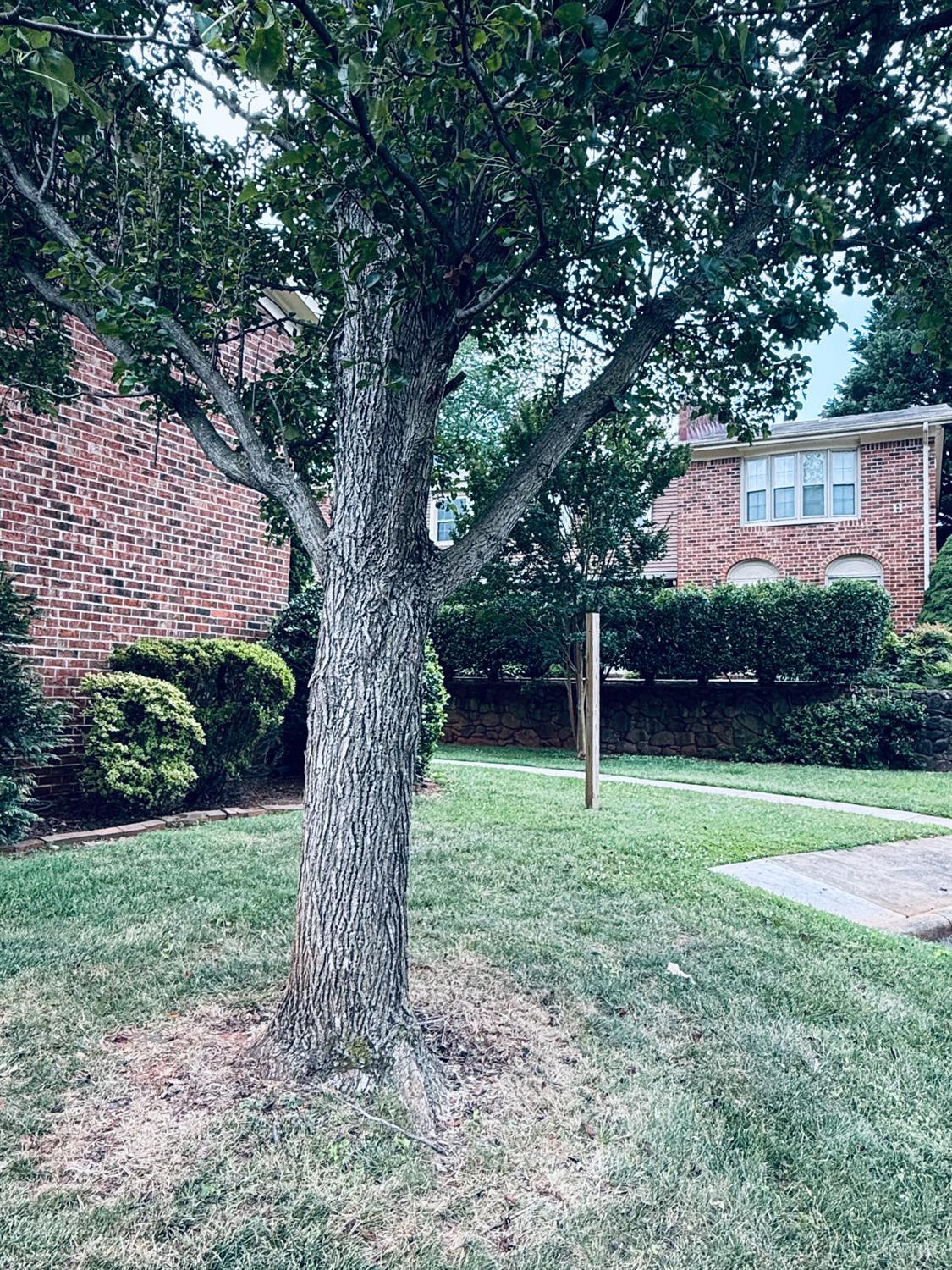 3101 Link Road, Unit 36 Lynchburg, VA 24503 - Photo 37 of 39 a backyard of a house with lots of green space and fountain