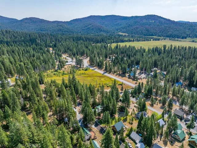 a view of a lush green hillside and a houses