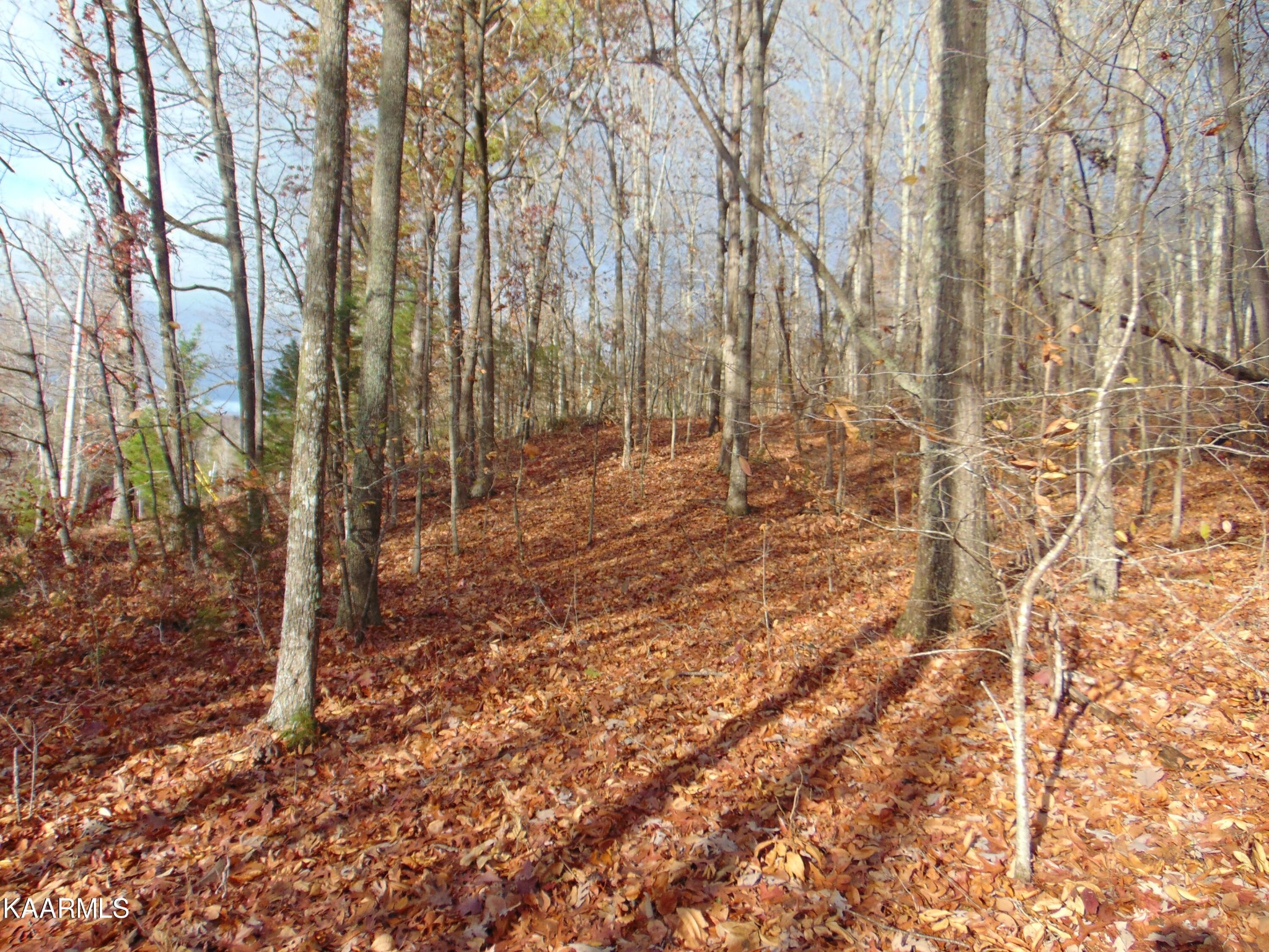 1056 County Road 179 Decatur, TN 37322 - Photo 24 of 24