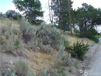 -nna Nna Riverview Cemetery Road Chelan, WA 98816 - Photo 7 of 7