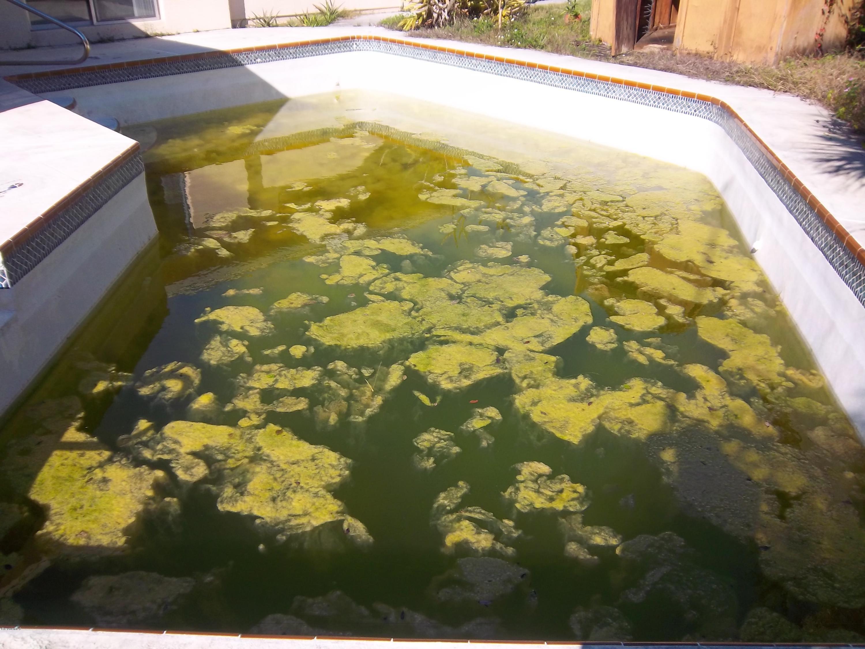 2777 Rheims Avenue Melbourne, FL 32935 - Photo 18 of 20 pool condition