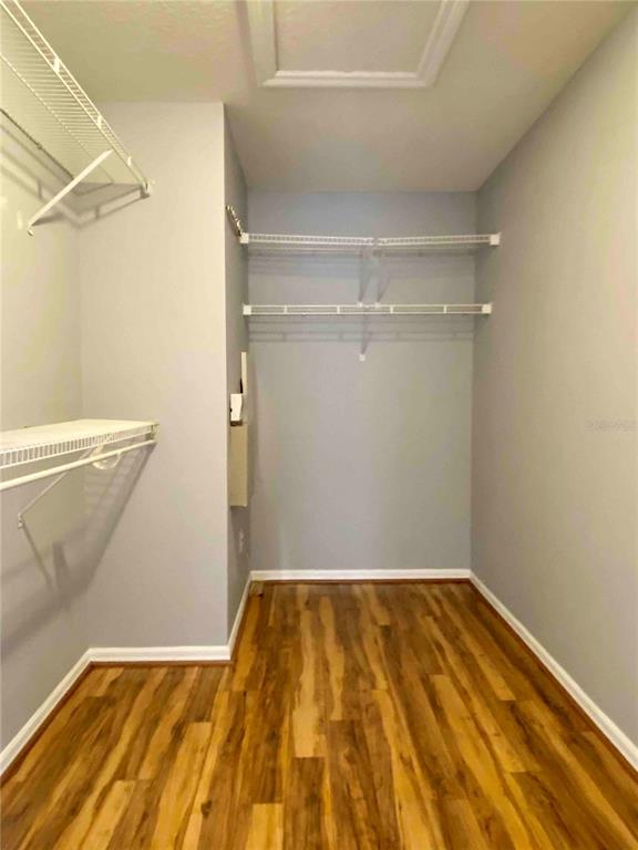 10503 Chilmark Way Tampa, FL 33626 - Photo 27 of 47