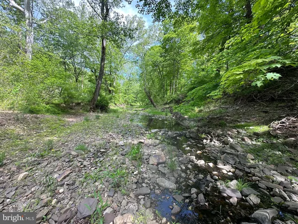 a view of a lush green forest with lots of trees
