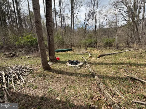 a view of a dry yard with trees
