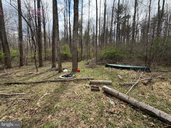 a view of backyard with wooden floor