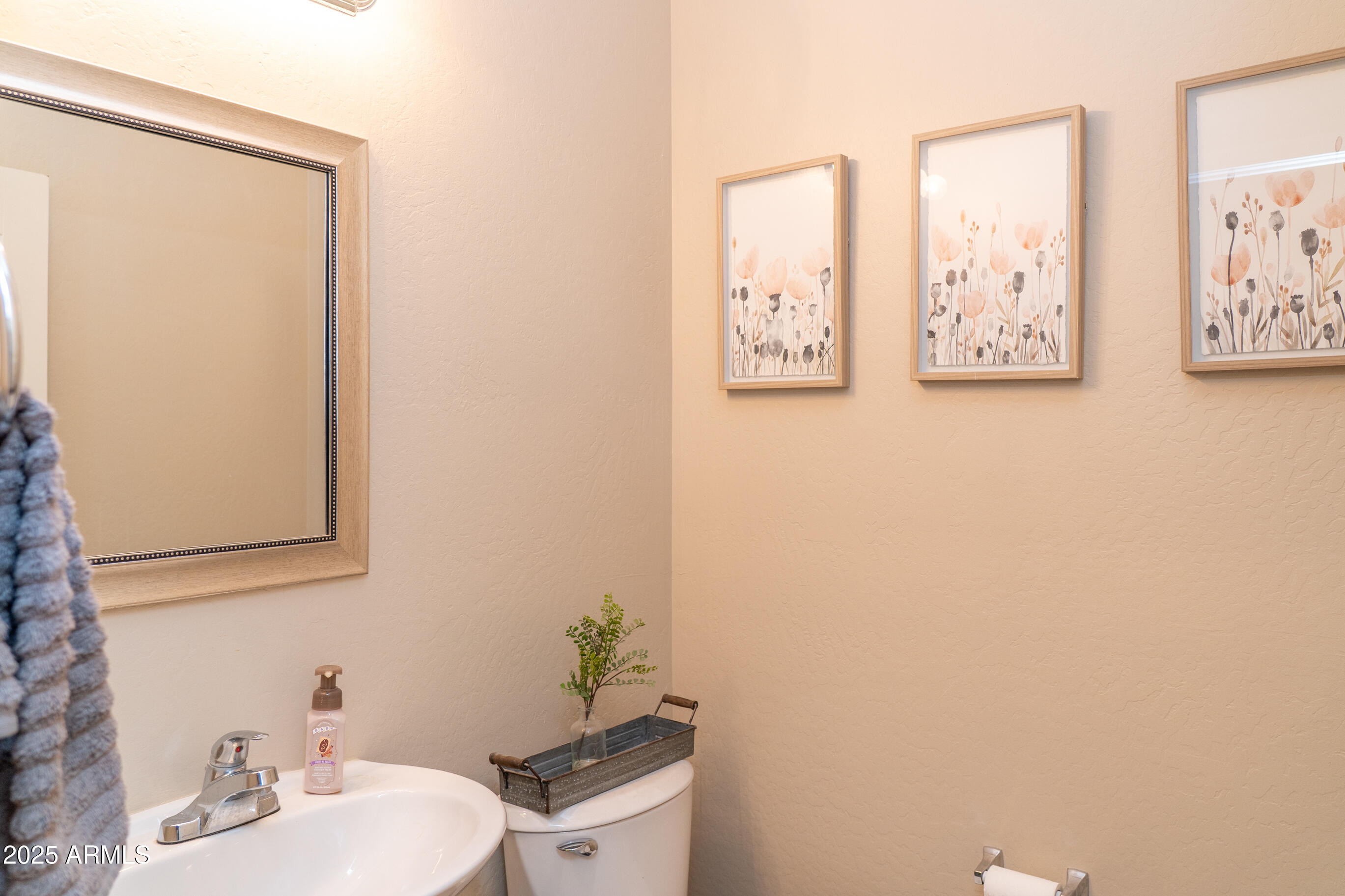 10225 West Camelback Road, Unit 45 Phoenix, AZ 85037 - Photo 9 of 29 half downstairs bath
