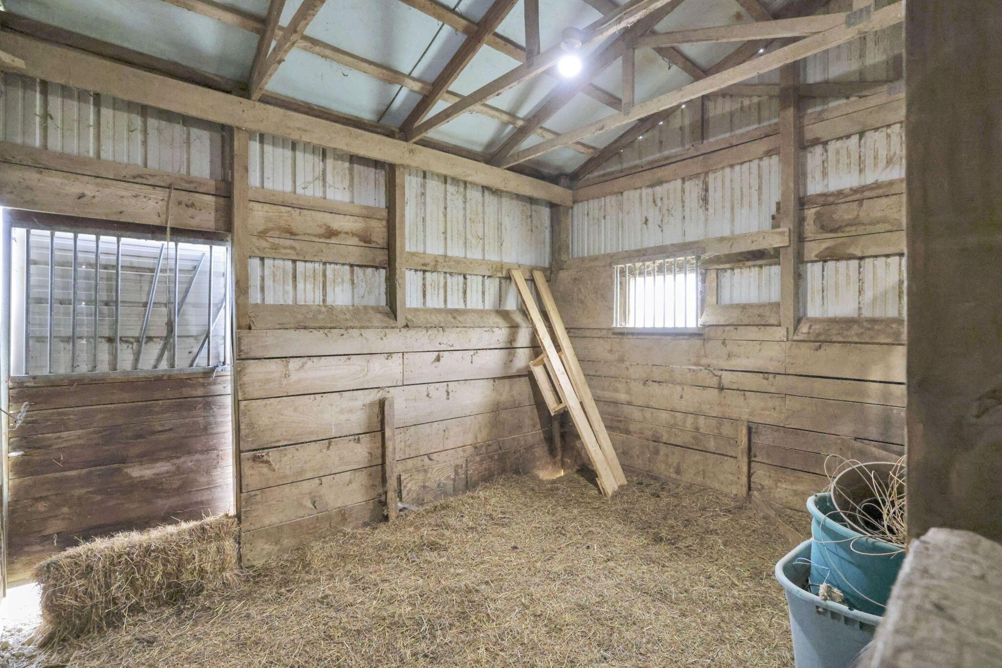 2662 Millersburg Road Utica, OH 43080 - Photo 61 of 81 58-web-or-mls-GR7A3446