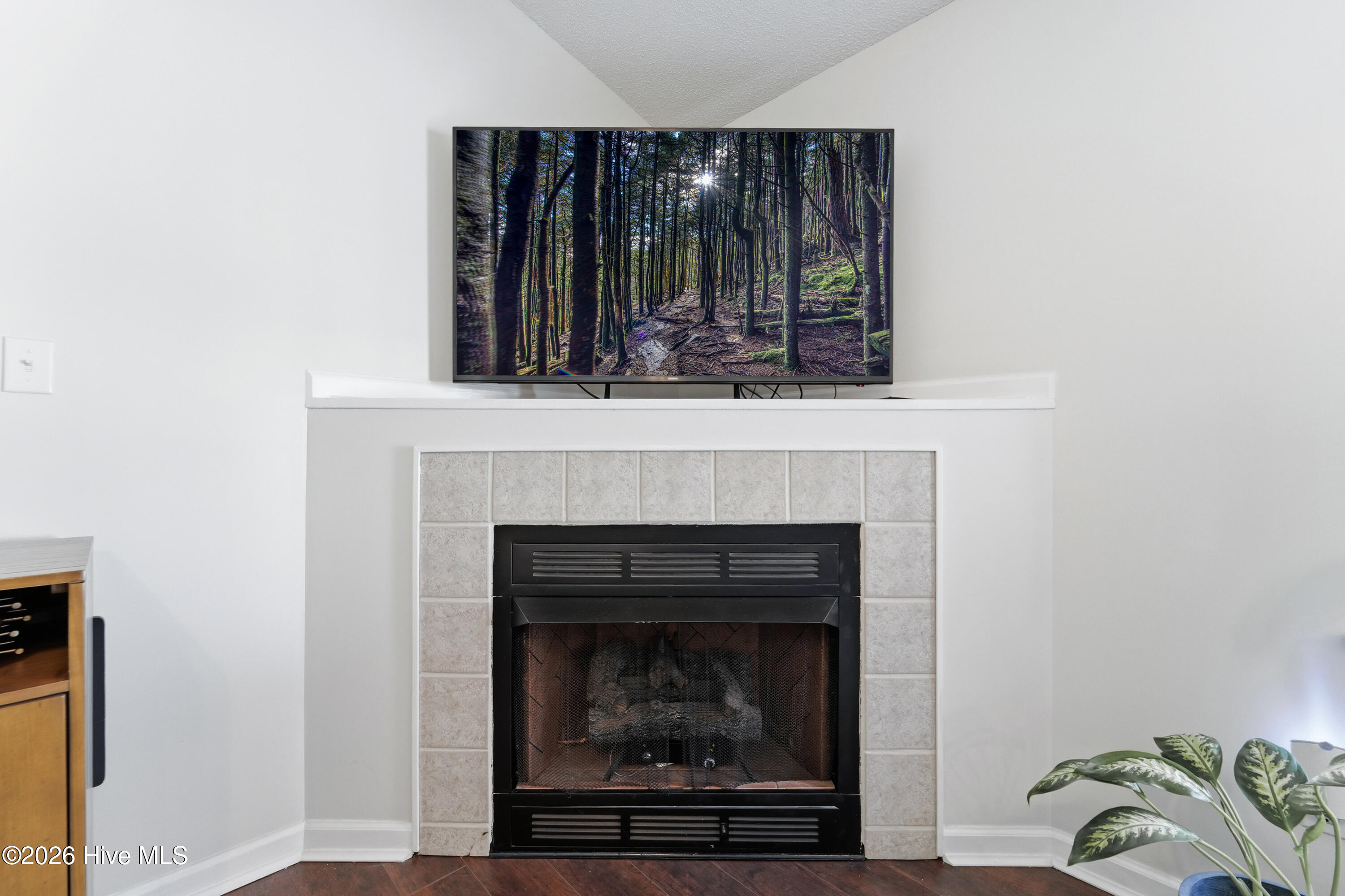 437 Spring Drive Jacksonville, NC 28540 - Photo 9 of 51 DSC08215