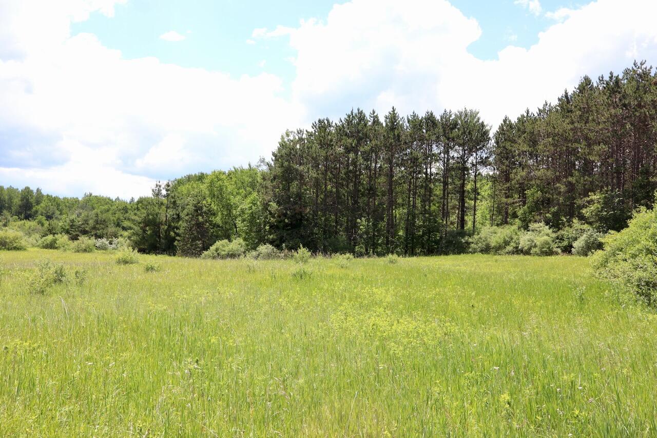 6182 Hamilton Road Harrison, MI 48625 - Photo 50 of 77