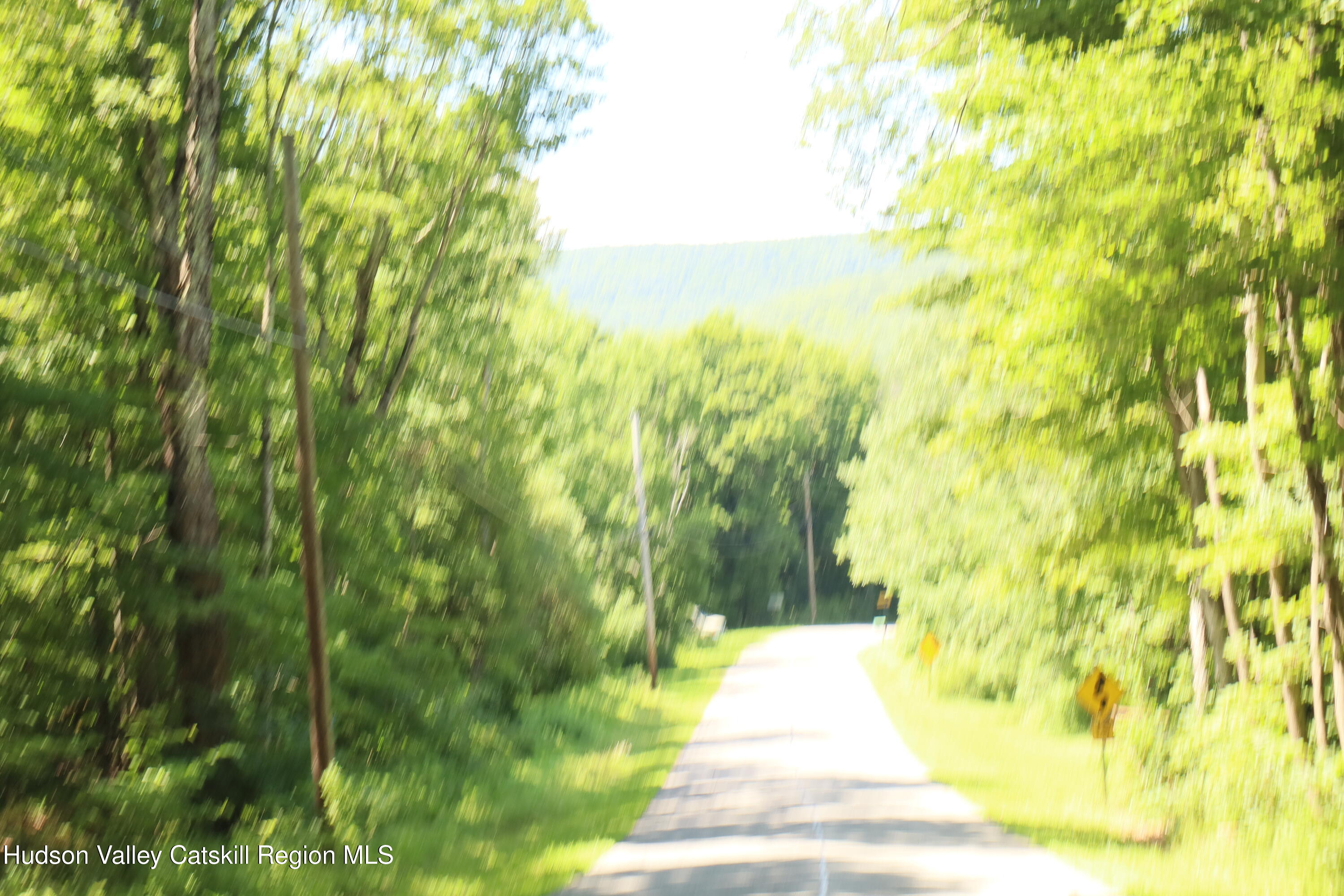 174 High Peak Road Windham, NY 12439 - Photo 19 of 27 a view of a yard with plants and large trees
