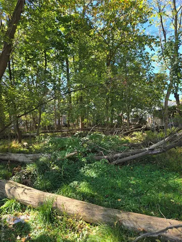 a view of a street with a tree