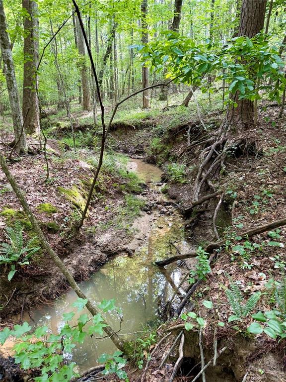 6.9 Rivertown Road Fairburn, GA 30213 - Photo 15 of 27