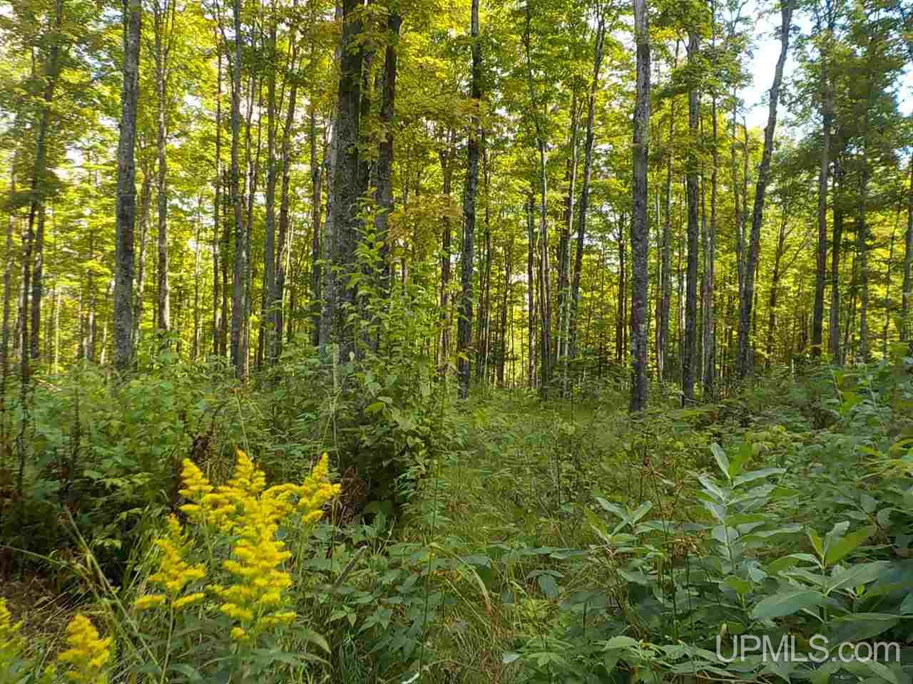80-ac Mcclaren Road Crystal Falls, MI 49920 - Photo 19 of 27