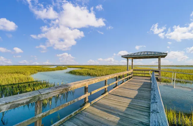 $779,500 | 1543 Prince Edward Street, Mount Pleasant, SC 29466