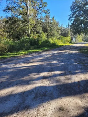 a view of outdoor space and yard