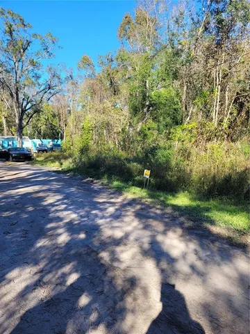 a view of a yard with plants and trees