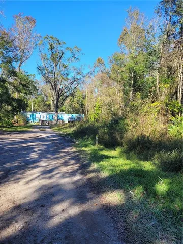 a view of yard with green space