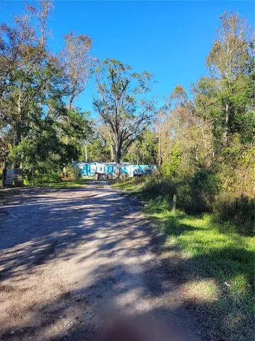 a view of a yard with a tree