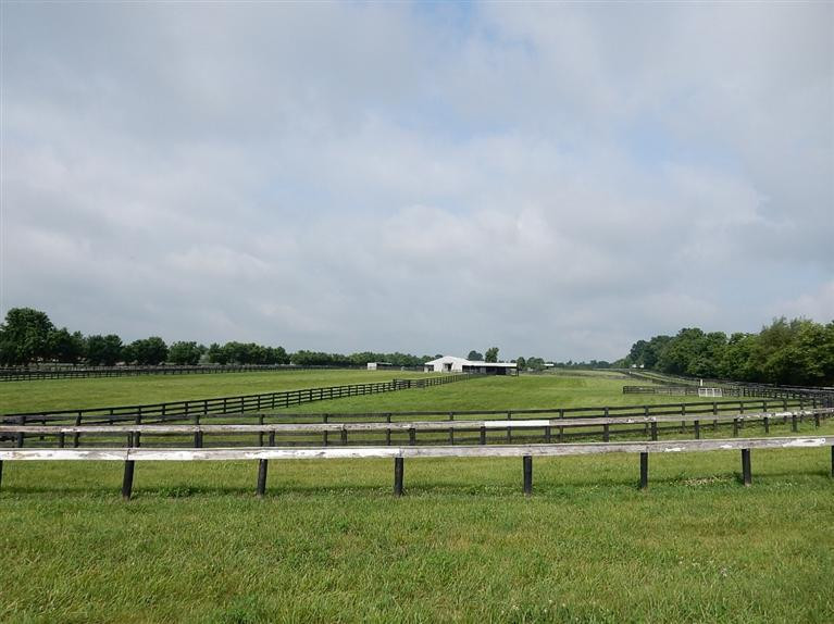 3354 Huntertown Road Versailles, KY 40383 - Photo 37 of 41 Photo 38