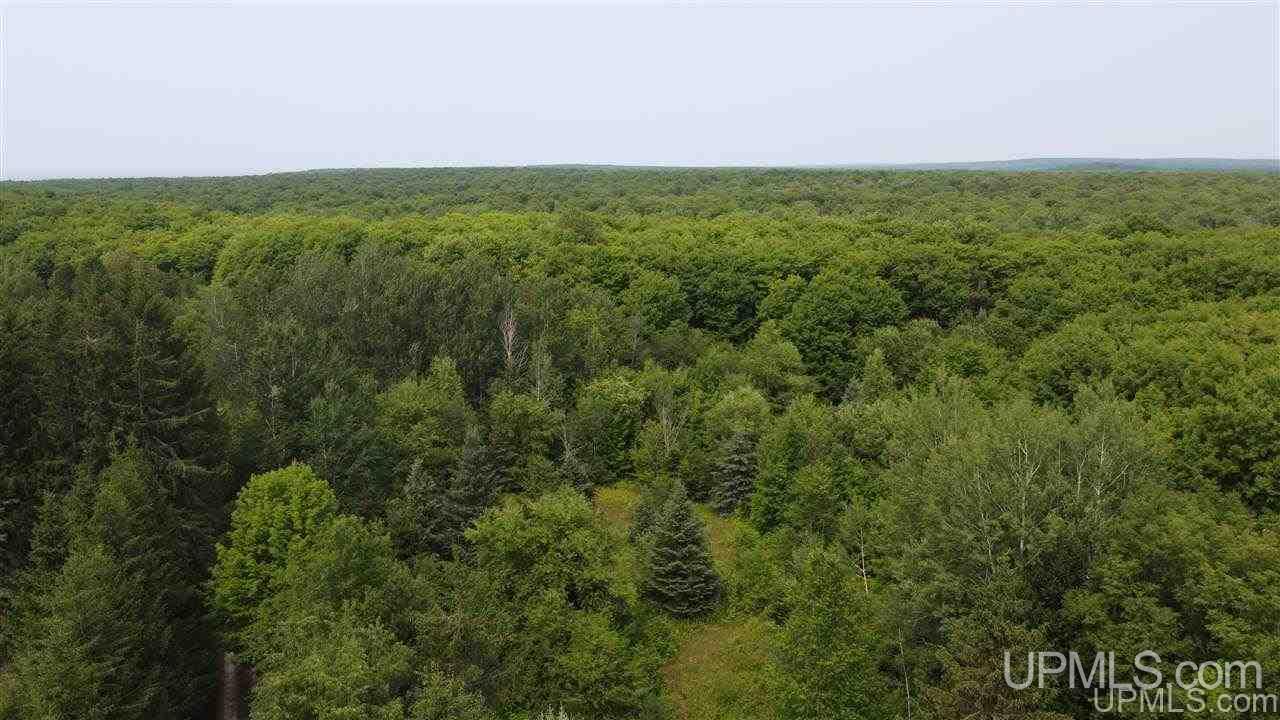 E10602-e10596 Carmody Road Munising, MI 49862 - Photo 21 of 42