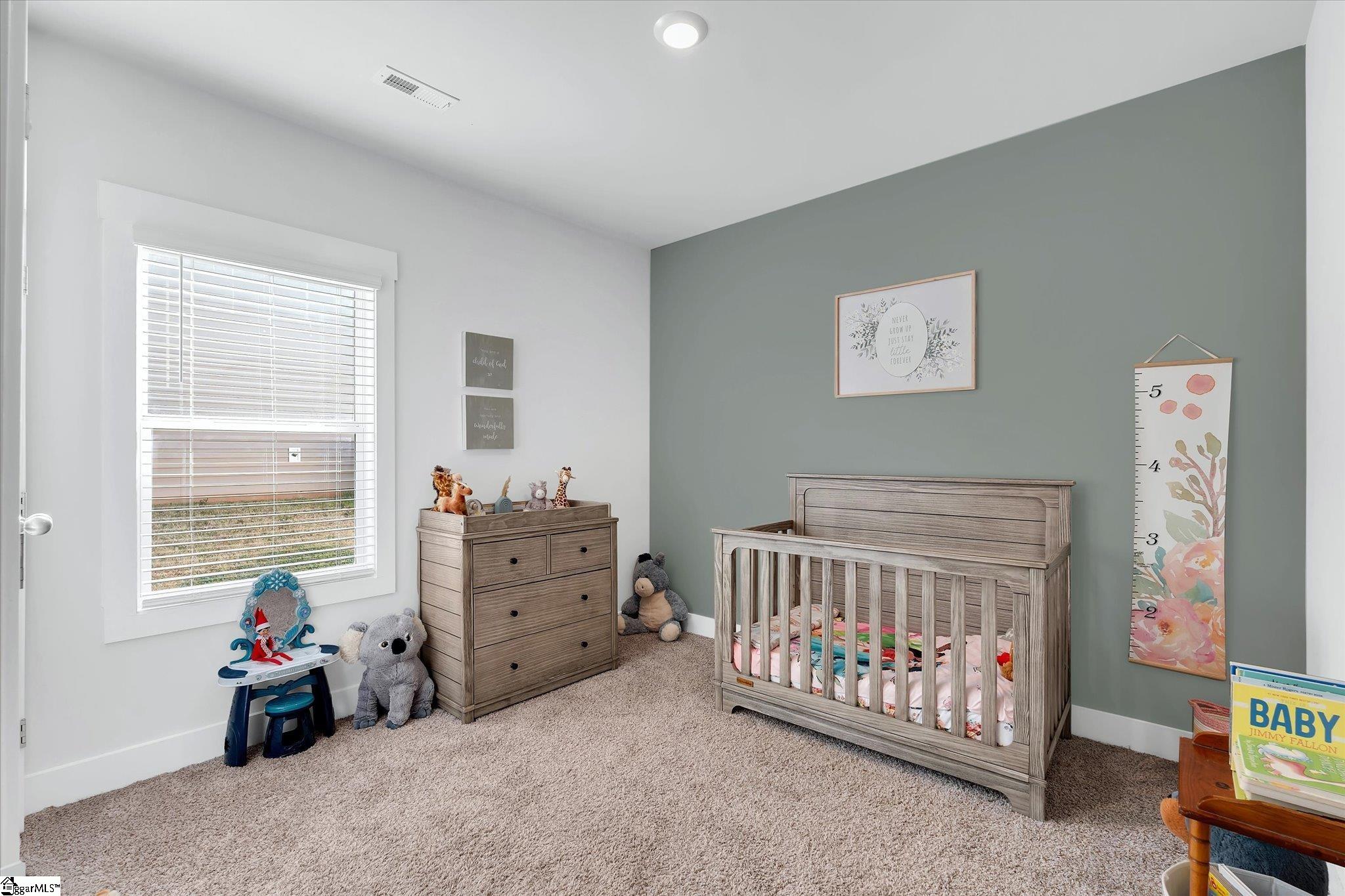 136 Walking Stick Way Pelzer, SC 29669 - Photo 22 of 25