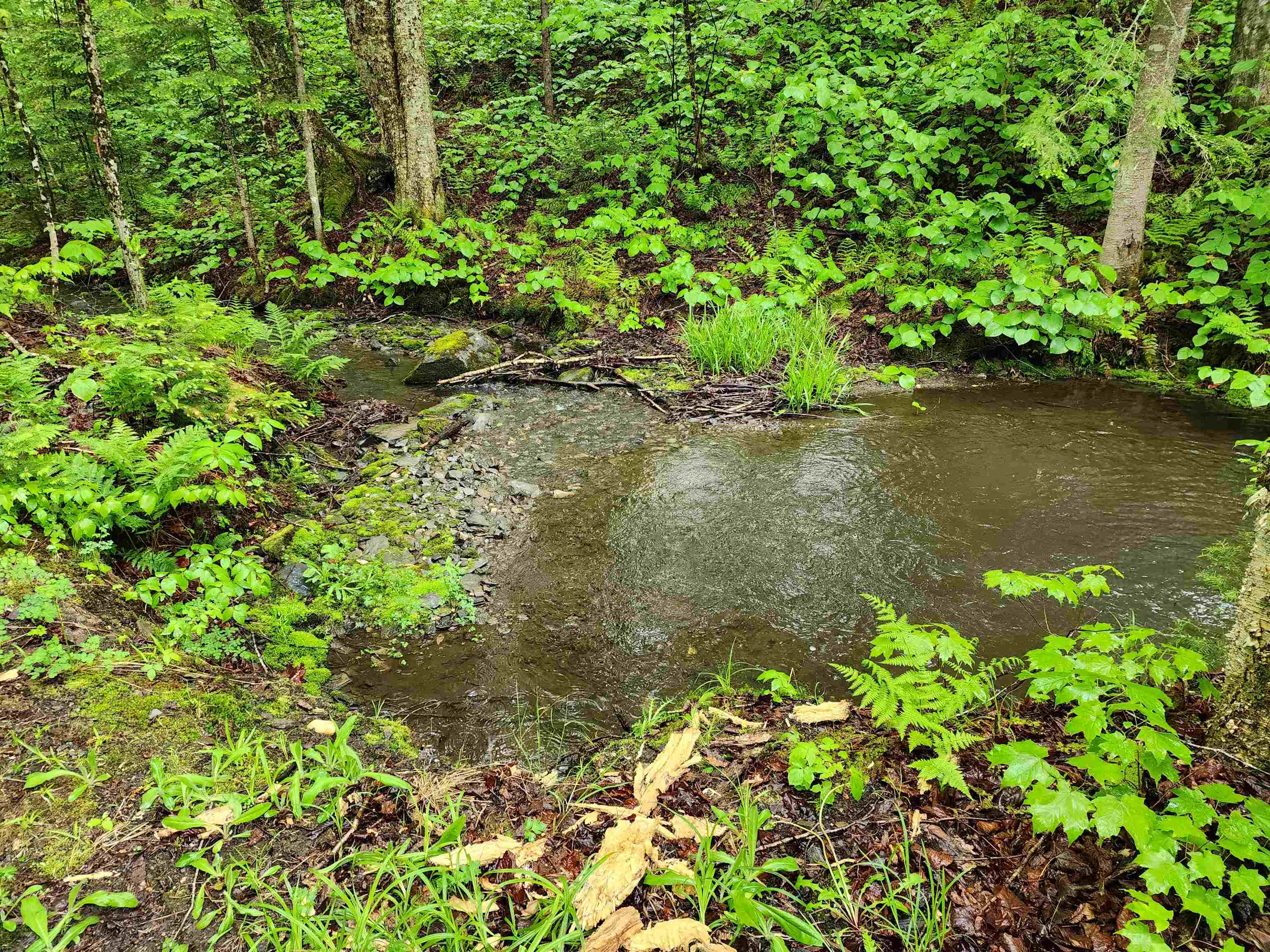 442 Clarksville Pond Road Clarksville, NH 03592 - Photo 33 of 40