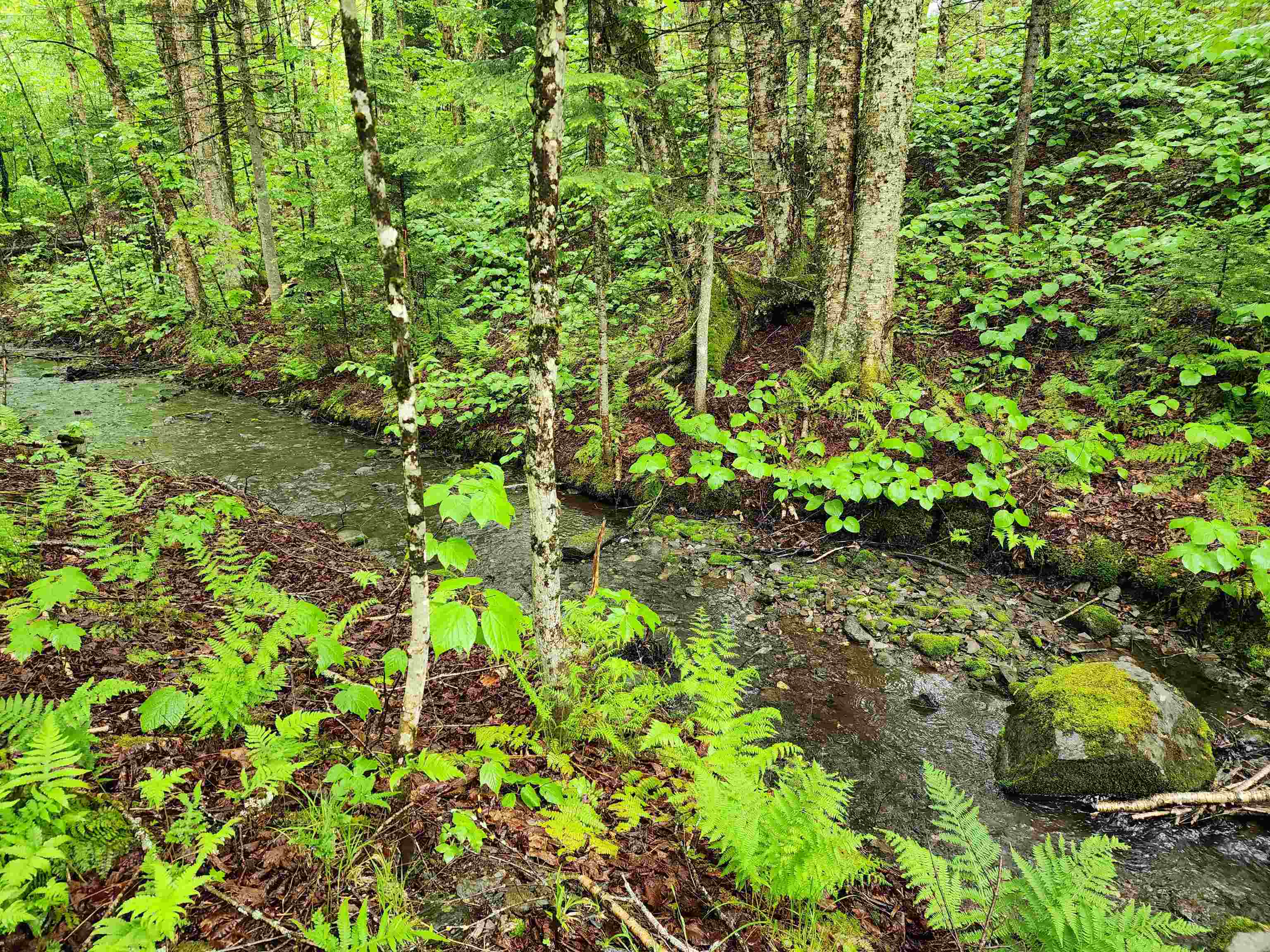 442 Clarksville Pond Road Clarksville, NH 03592 - Photo 35 of 40