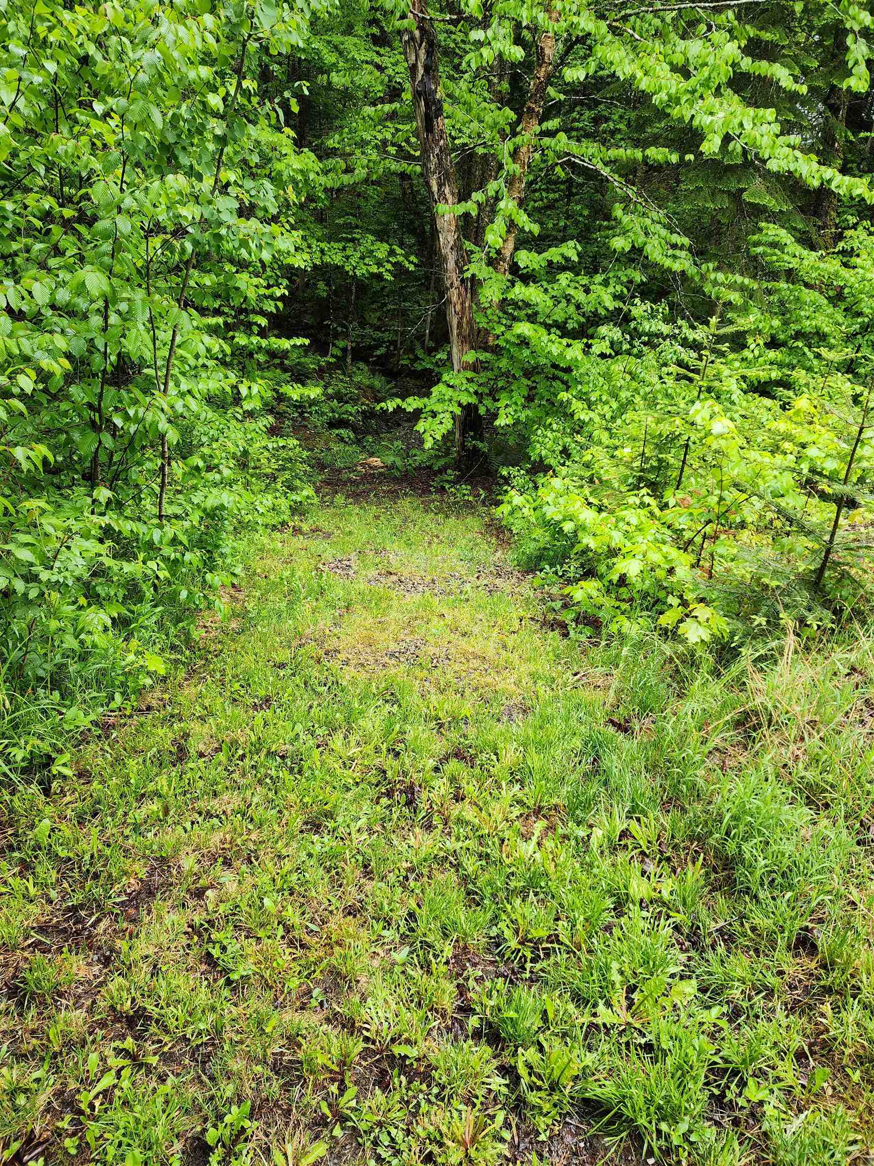 442 Clarksville Pond Road Clarksville, NH 03592 - Photo 37 of 40