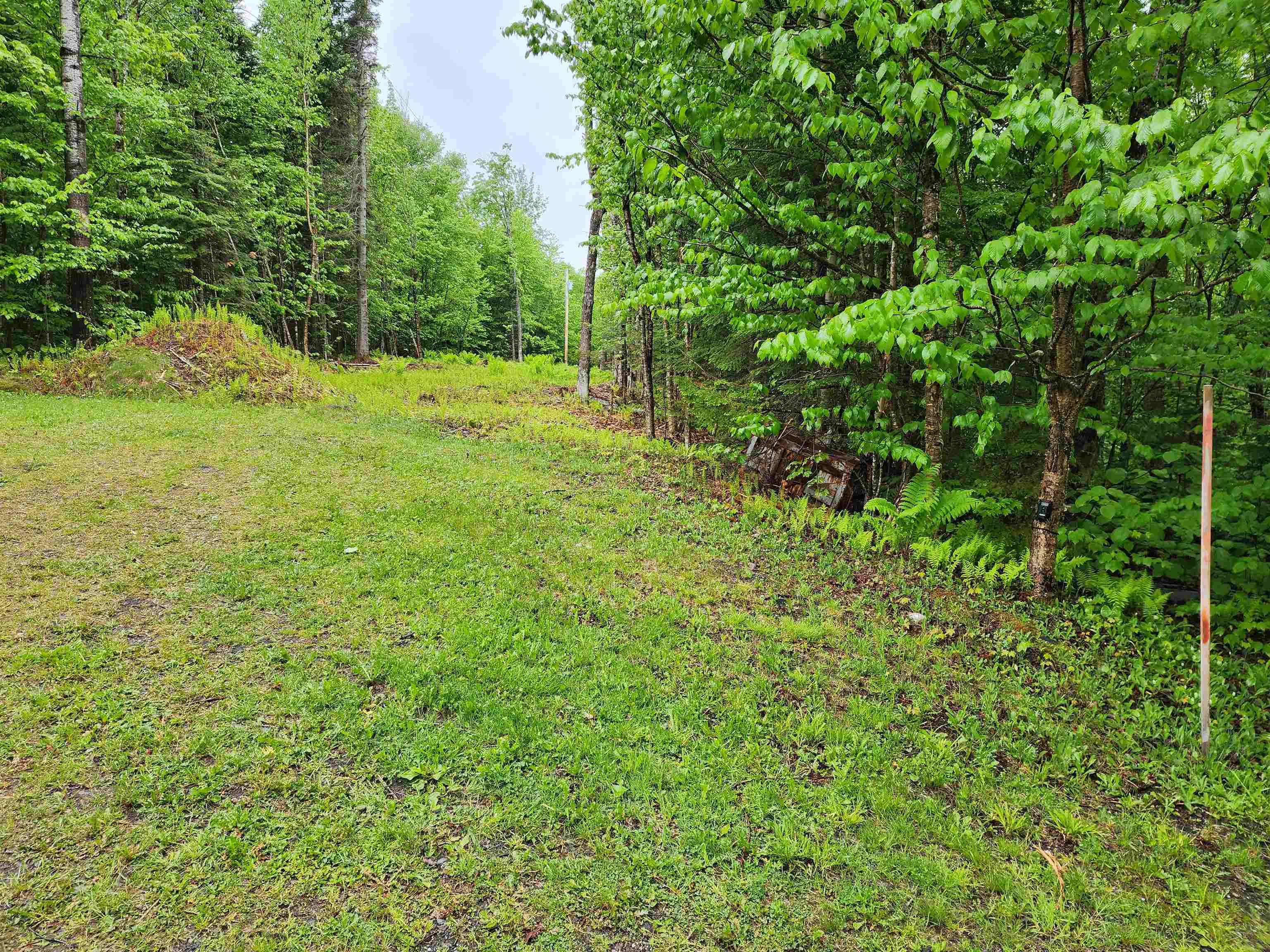 442 Clarksville Pond Road Clarksville, NH 03592 - Photo 38 of 40