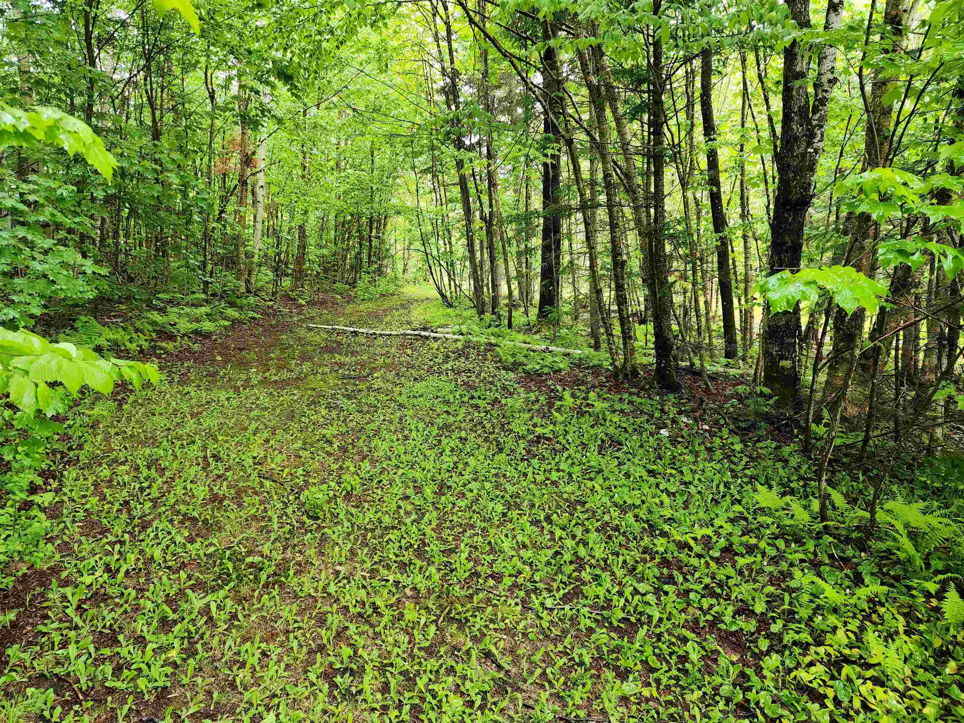 442 Clarksville Pond Road Clarksville, NH 03592 - Photo 39 of 40