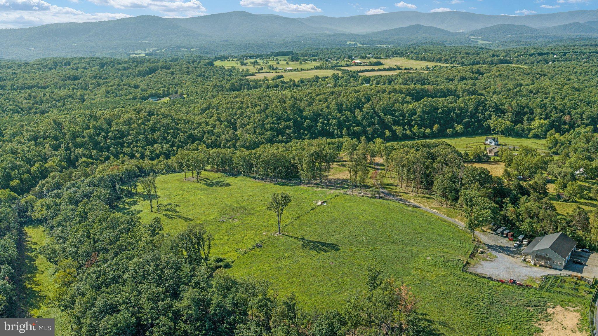 359 Ridgeway Road Front Royal, VA 22630 - Photo 106 of 136 DJI_20260804092102_0090_D_ 359 Ridgeway Rd - Absol