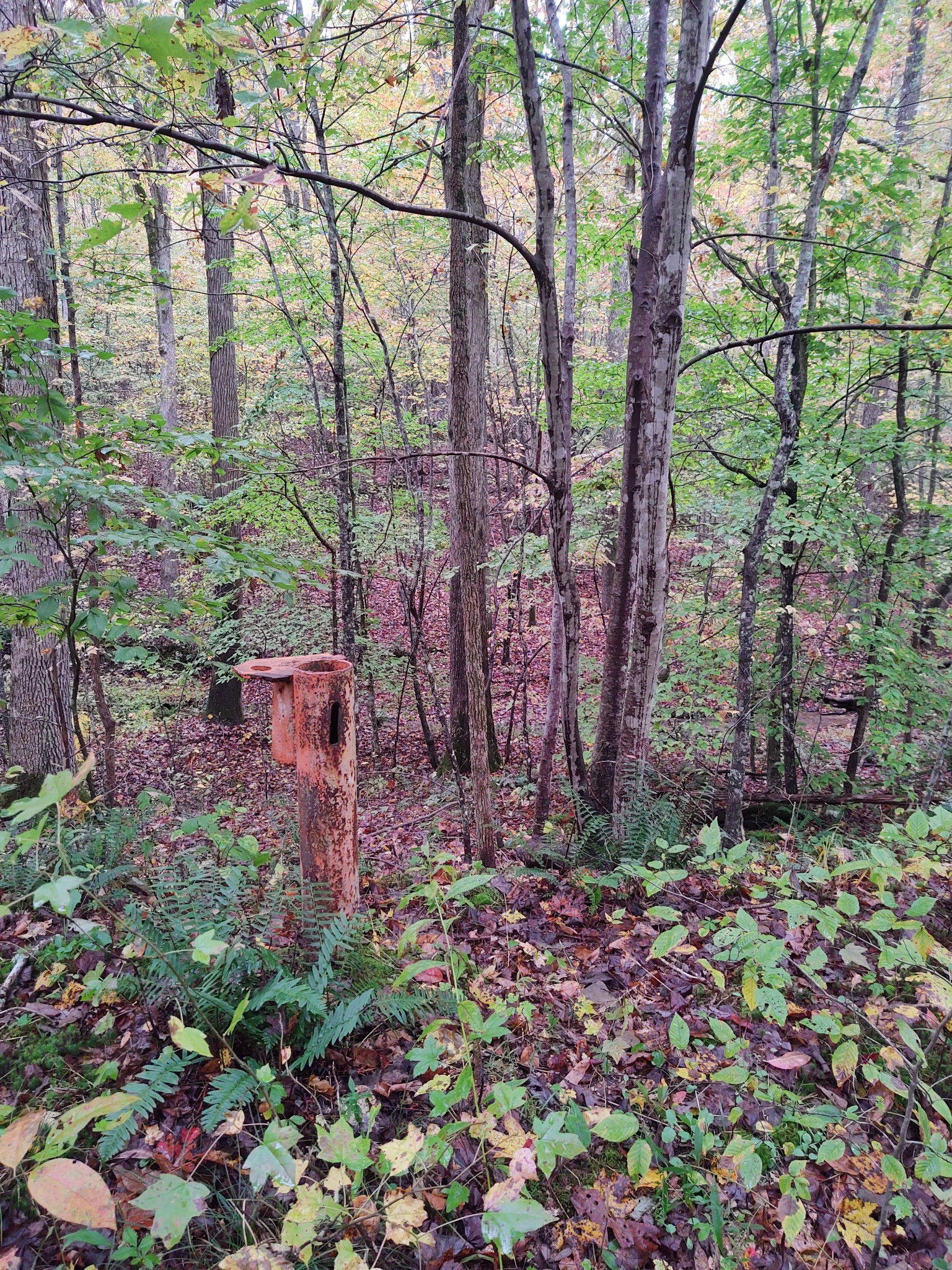 0 Ridge Road Robbins, TN 37852 - Photo 10 of 20 Gallery Image 10