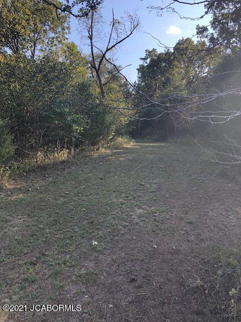 665 Coelleda School Road Roach, MO 65787 - Photo 8 of 14