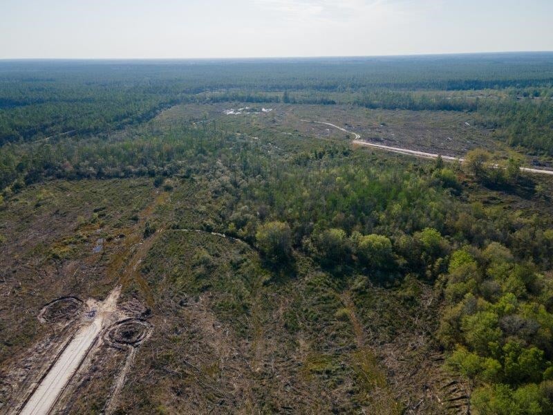 Lot 3 Copeland Road Lake Park, GA 31636 - Photo 16 of 48 Gallery Image 16