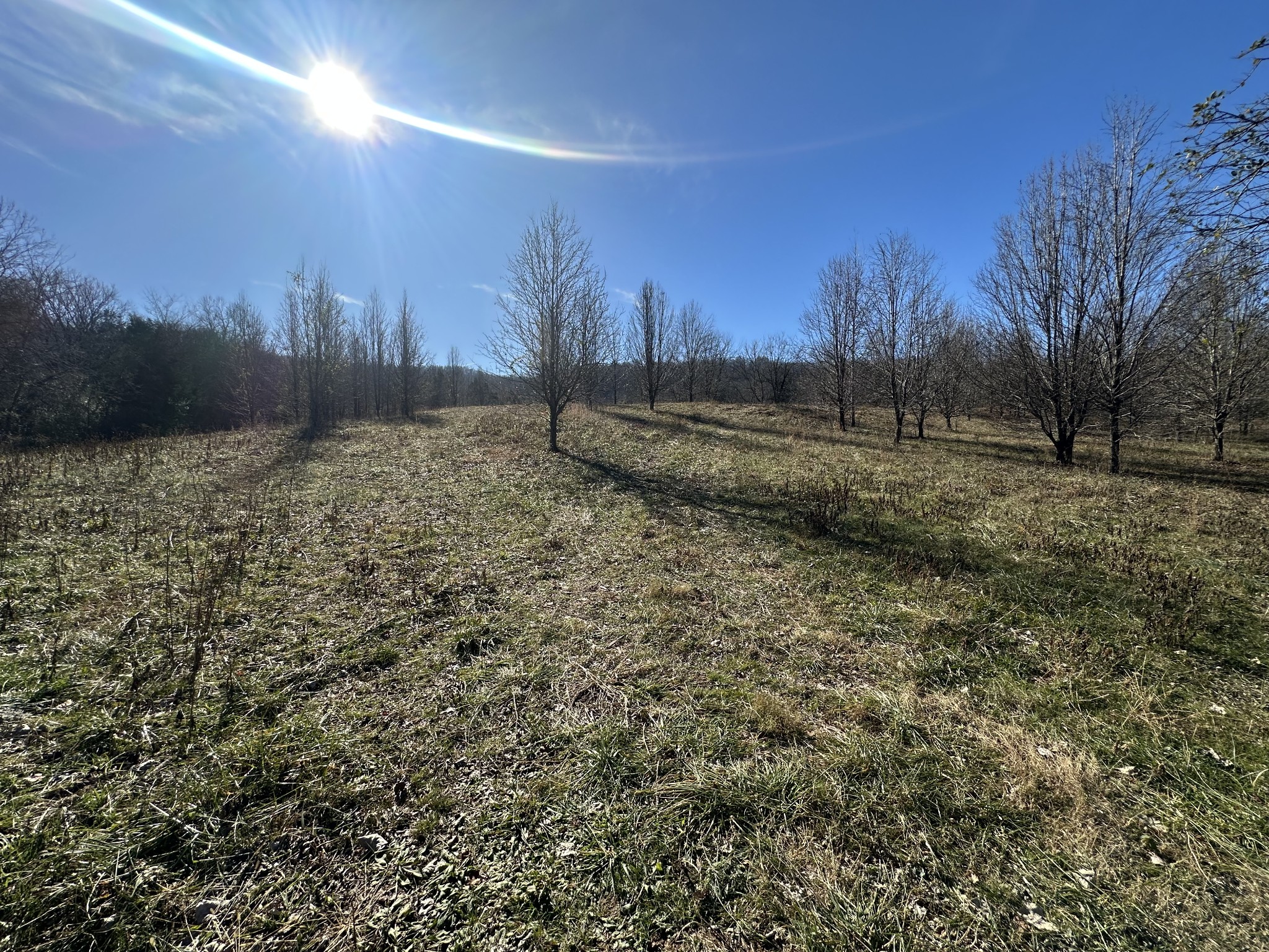 0 Cane Creek-Cummingsville Road Sparta, TN 38583 - Photo 11 of 14 a view of a yard with a house