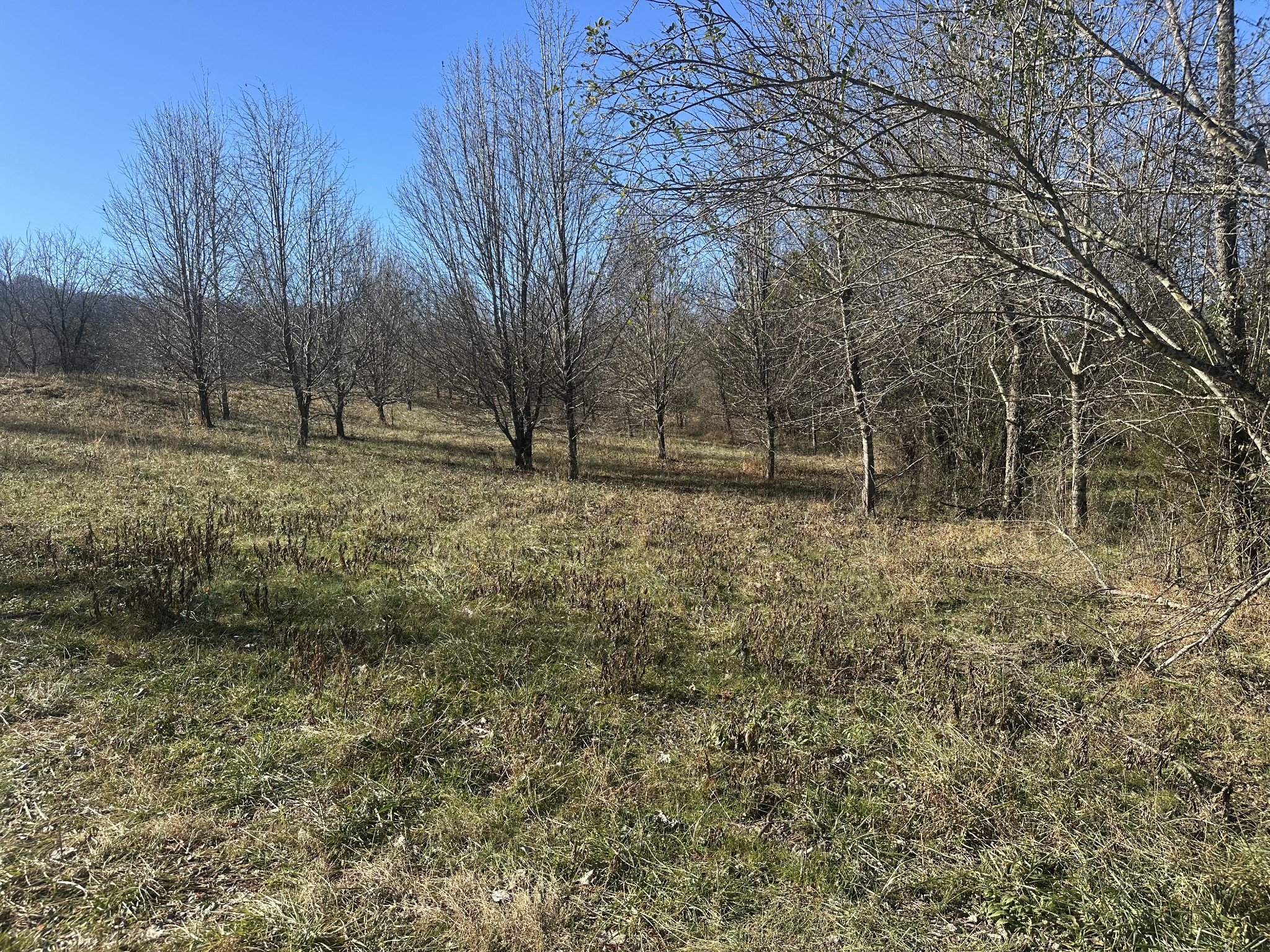 0 Cane Creek-Cummingsville Road Sparta, TN 38583 - Photo 12 of 14 a fire hydrant in the middle of a field