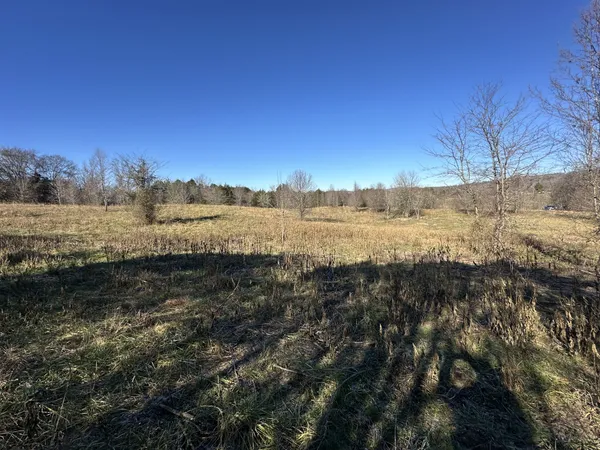 a view of lake and mountain