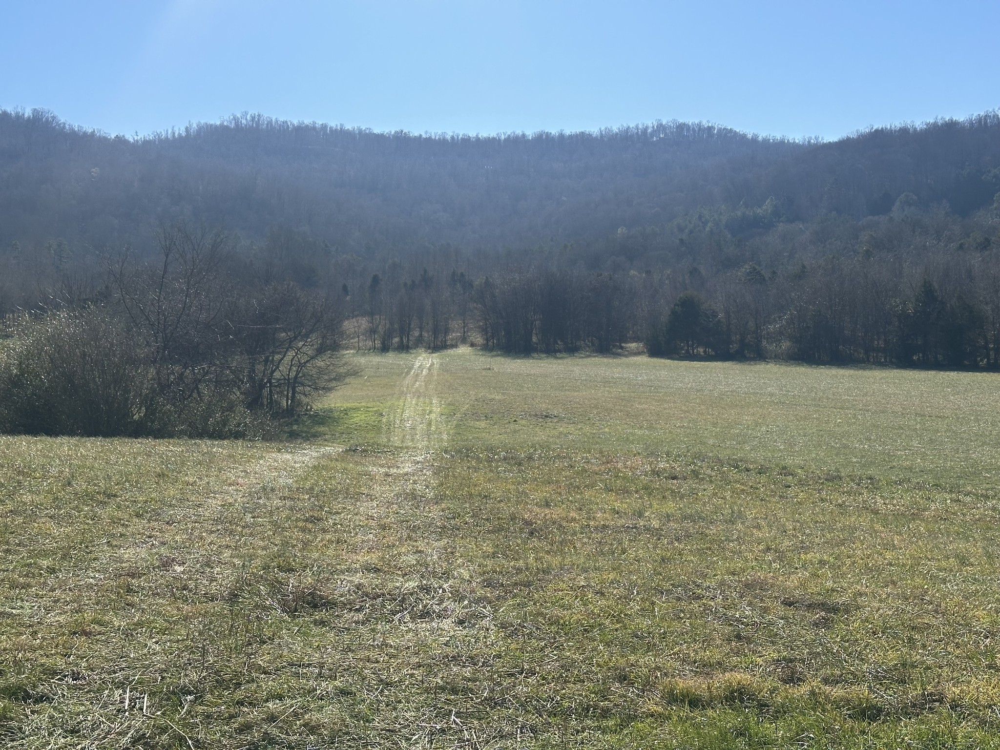 0 Cane Creek-Cummingsville Road Sparta, TN 38583 - Photo 3 of 14 a view of lot of mountains