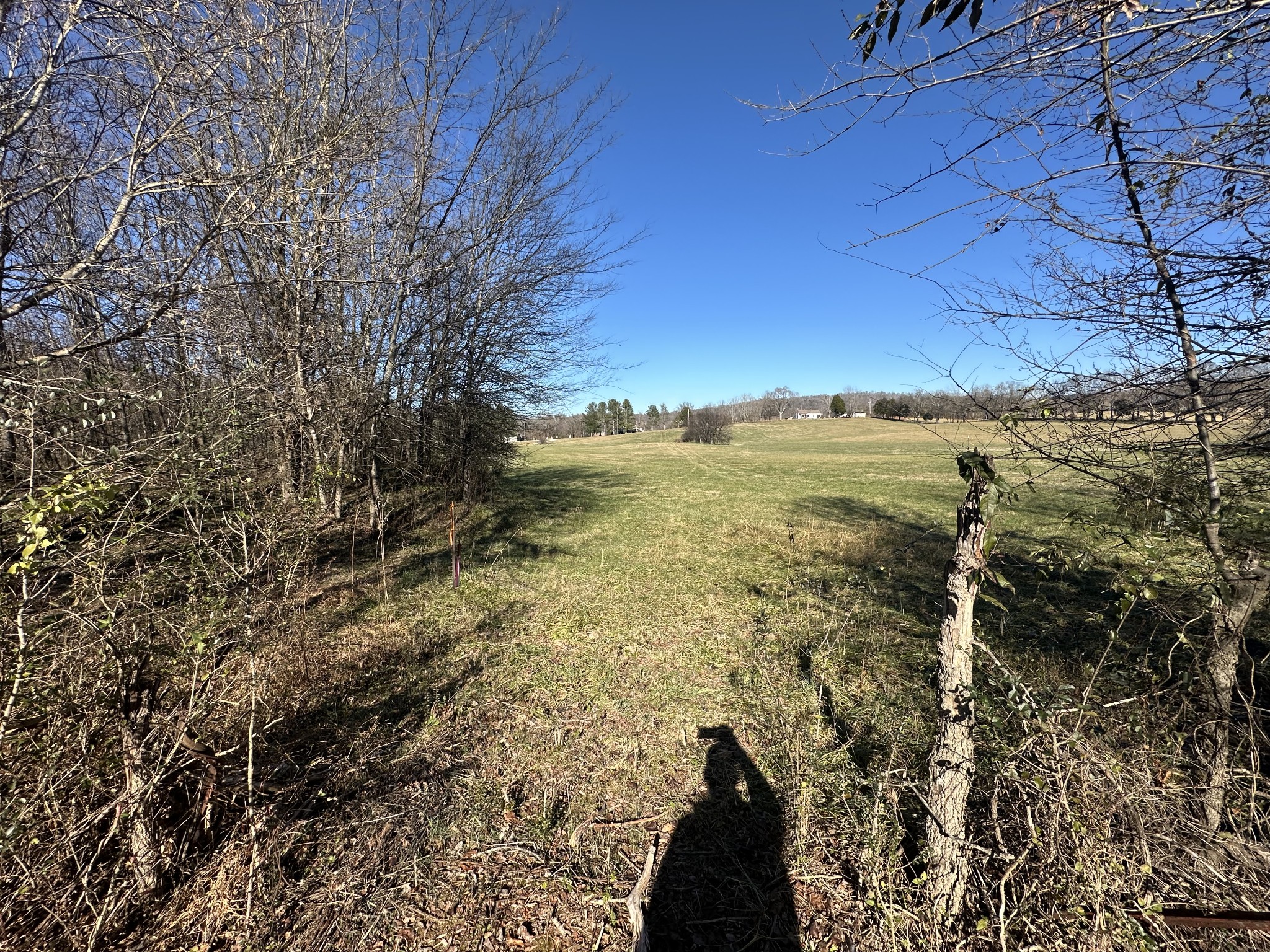 0 Cane Creek-Cummingsville Road Sparta, TN 38583 - Photo 4 of 14 a view of an ocean view