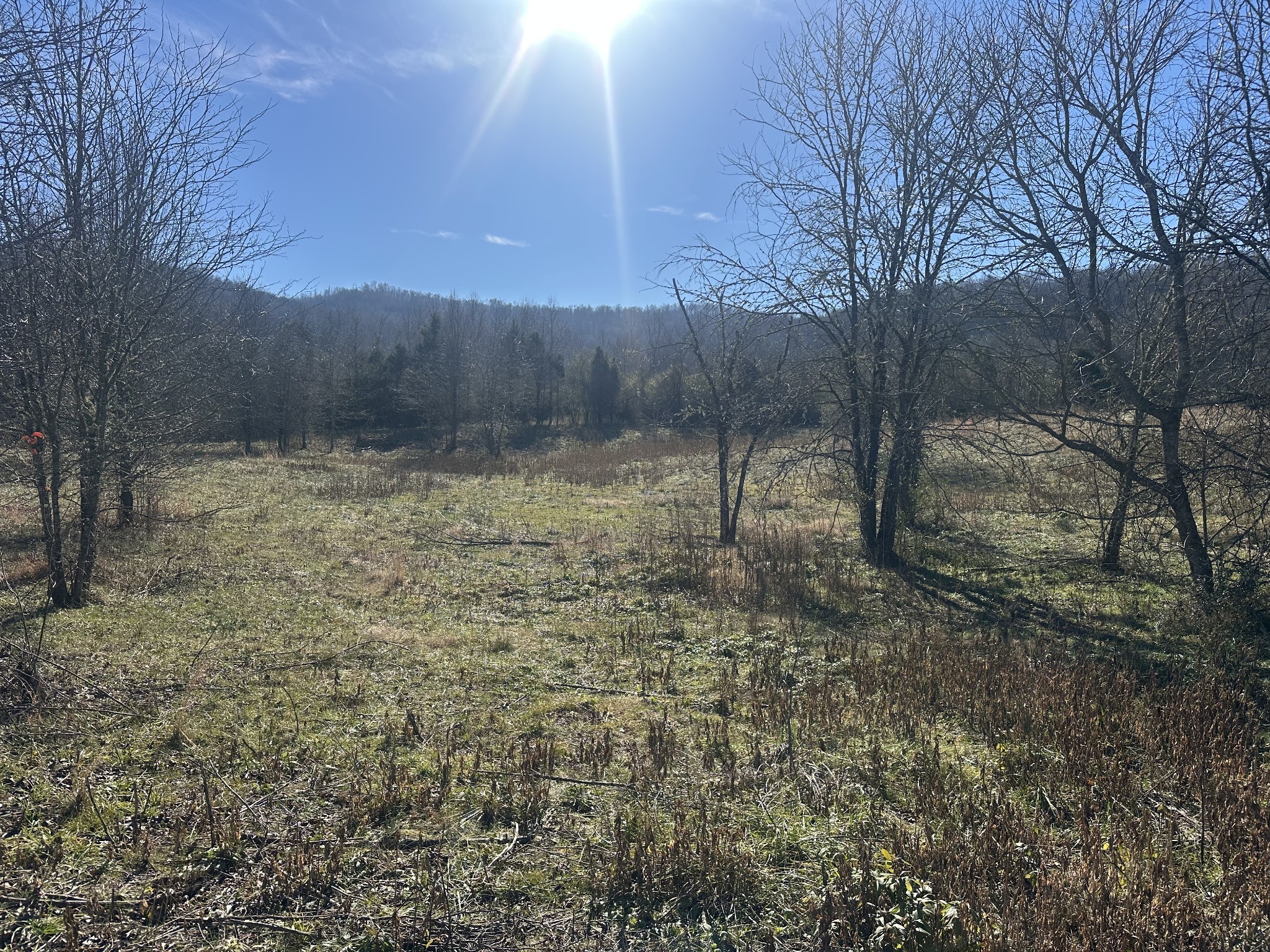 0 Cane Creek-Cummingsville Road Sparta, TN 38583 - Photo 7 of 14 a backyard of a house