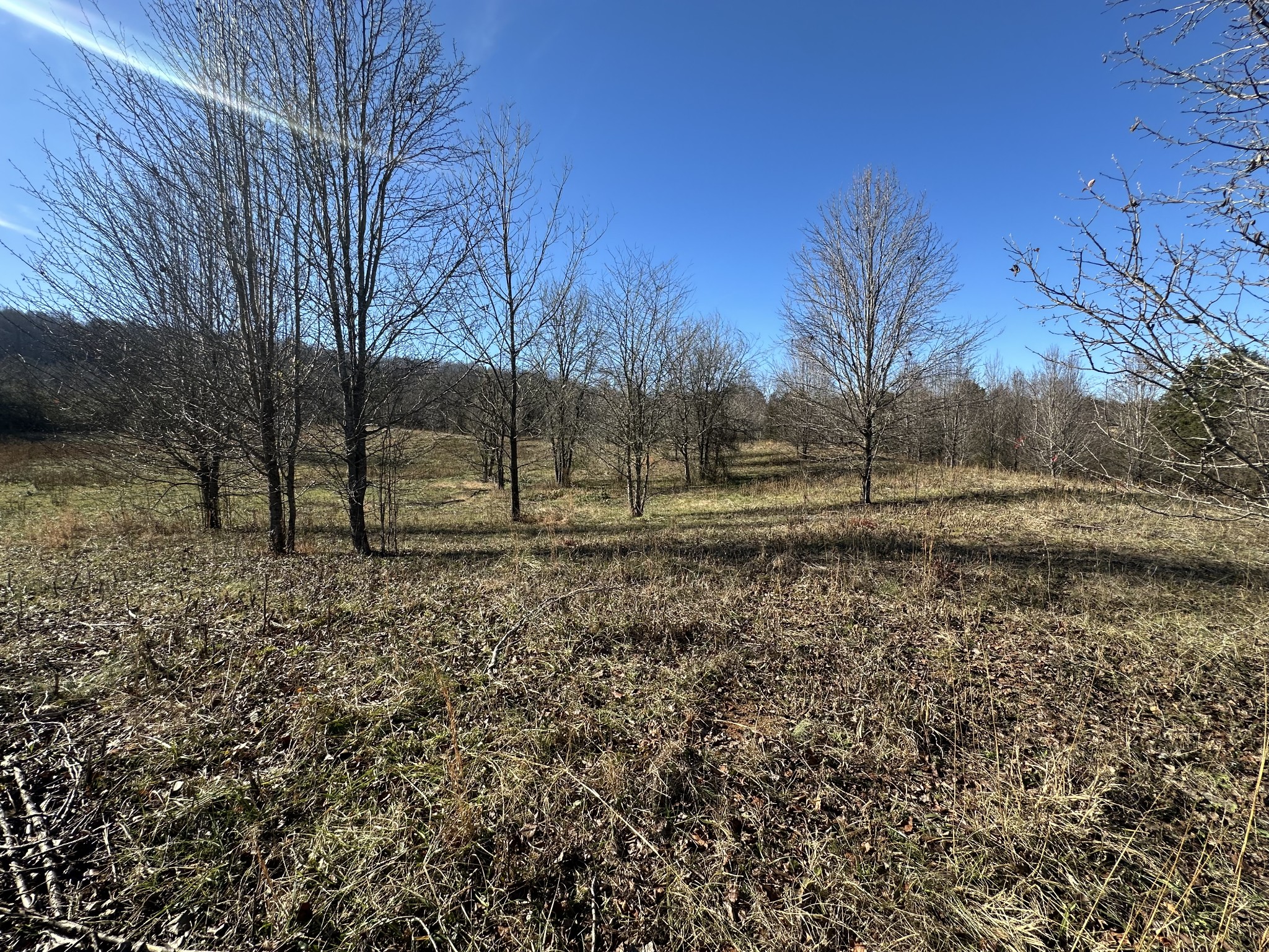0 Cane Creek-Cummingsville Road Sparta, TN 38583 - Photo 9 of 14 a view of dirt yard with a tree