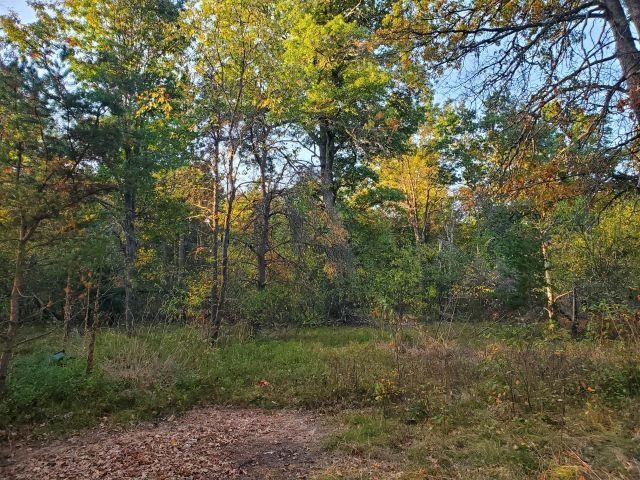3487 Perry Holt Road West Branch, MI 48661 - Photo 8 of 17 Gallery Image 8