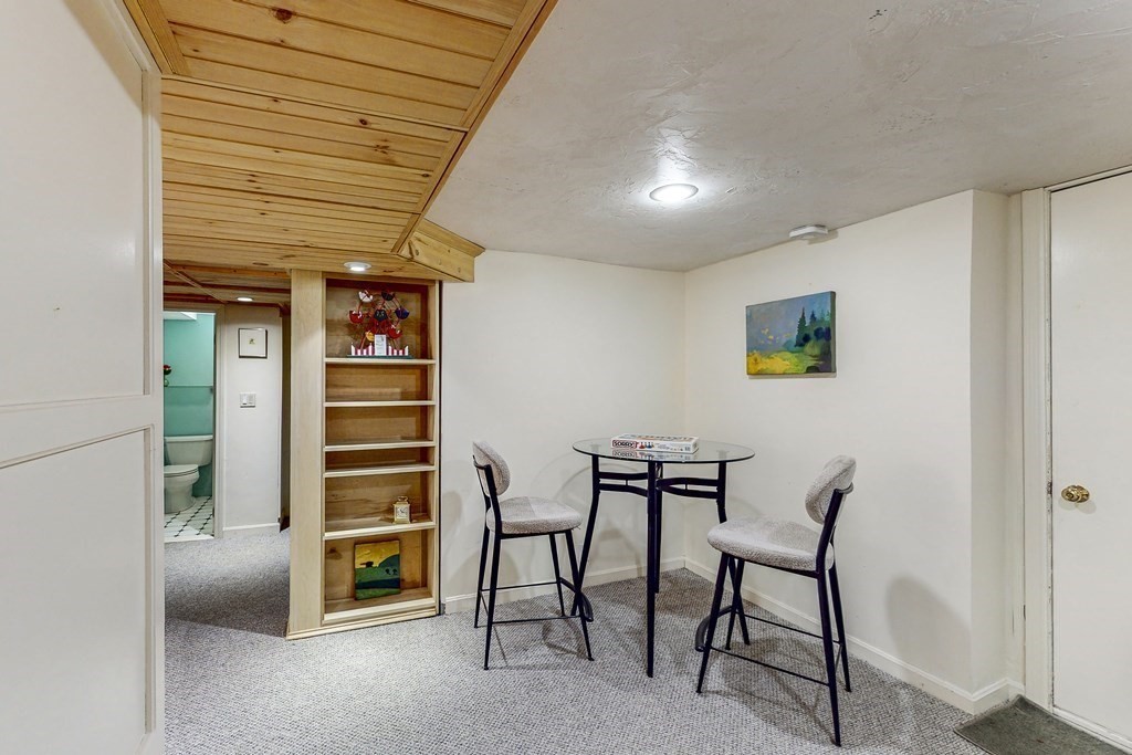 55 Carleton Street Newton, MA 02458 - Photo 23 of 34