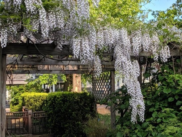 55 Carleton Street Newton, MA 02458 - Photo 29 of 34