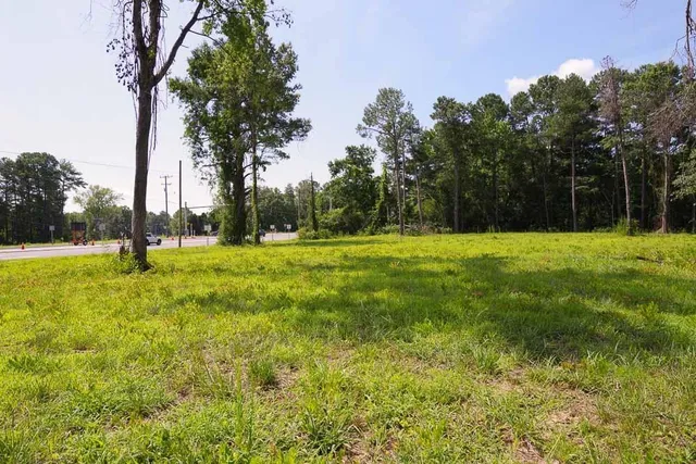 a view of a tree in a yard
