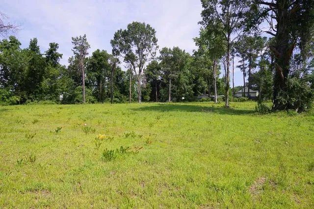 a view of a trees with a yard