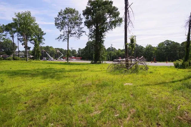 a view of a large yard with palm trees